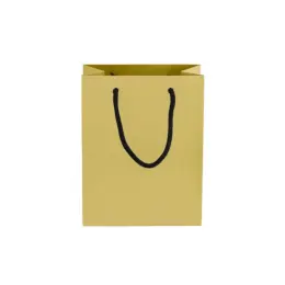 230gsm Matte Gift Bag - 23cm Gold Front